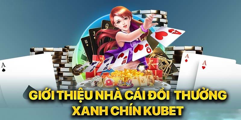 Sơ lược tổng quan về sân chơi top 1